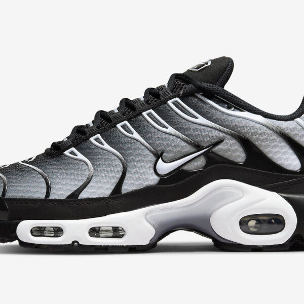 Nike Air Max Plus Black Silver White